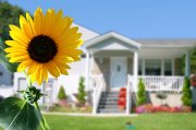 Ran ans Haus: Was Eigenheimbesitzer für weniger Energieverbrauch tun können