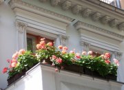 Frühling auf dem Balkon: Was Mieter beachten sollten