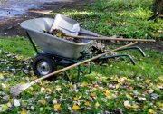 VPB empfiehlt: Rücksichtnahme bei der Herbst-Gartenarbeit