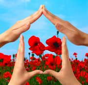 Gewährleistungssicherheit schützt Bauherr bei Insolvenz