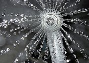 Energiewende hausgemacht: Energiespartipps rund um Warmwasser