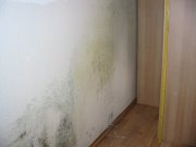 Checkliste: Haben Sie Schimmel zu Hause?