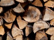 Stiftung Warentest: Vorsicht vor feuchtem Kaminholz