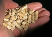 Holzpellets im Winter über ein Drittel günstiger als Heizöl